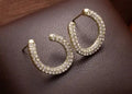 Chunky pave Hoop Earrings