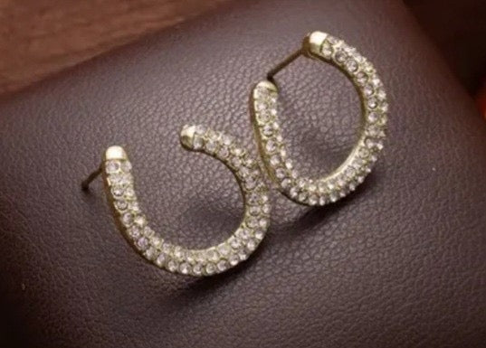 Chunky pave Hoop Earrings